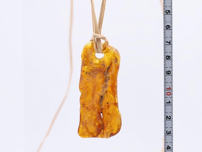 Gintarinis pakabukas